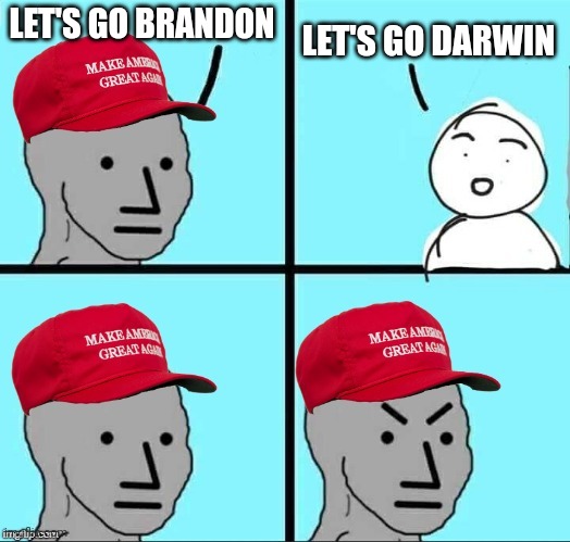 The hoax is coming for ya | LET'S GO BRANDON; LET'S GO DARWIN | image tagged in maga npc | made w/ Imgflip meme maker