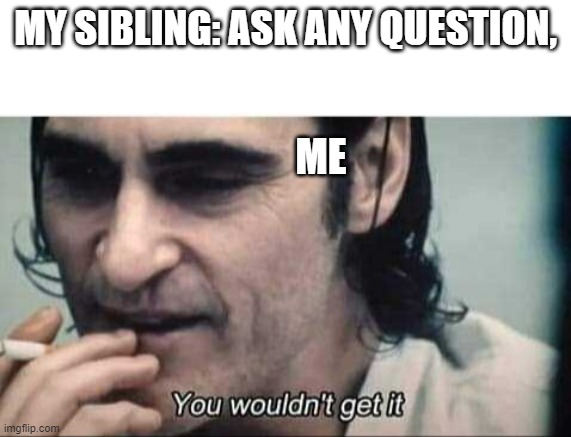 You wouldn't get it | MY SIBLING: ASK ANY QUESTION, ME | image tagged in you wouldn't get it | made w/ Imgflip meme maker