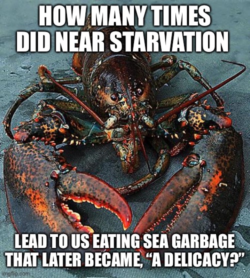 Lobster | HOW MANY TIMES DID NEAR STARVATION; LEAD TO US EATING SEA GARBAGE THAT LATER BECAME, “A DELICACY?” | image tagged in lobster | made w/ Imgflip meme maker