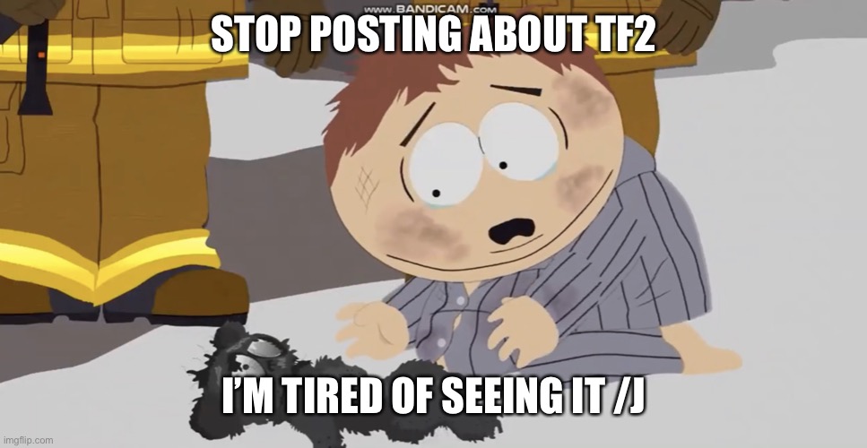 I’m kidding about the stop posting part, post as much tf2 as you want. | STOP POSTING ABOUT TF2; I’M TIRED OF SEEING IT /J | image tagged in cartman crying over something,team fortress 2 | made w/ Imgflip meme maker