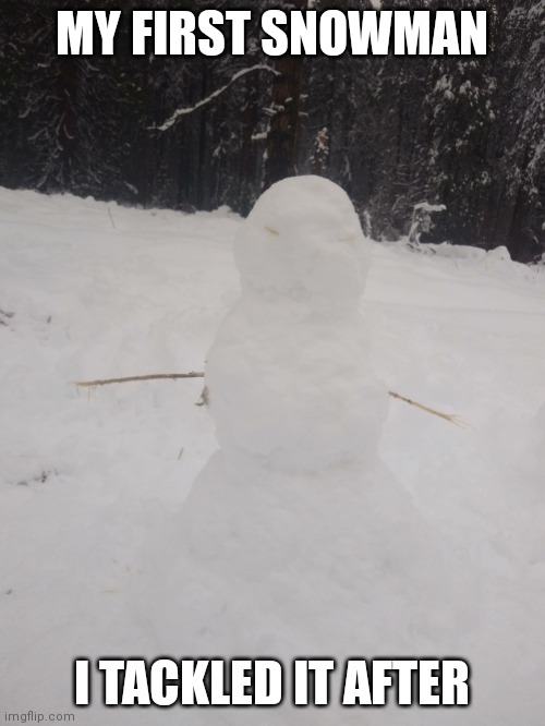 MY FIRST SNOWMAN; I TACKLED IT AFTER | made w/ Imgflip meme maker