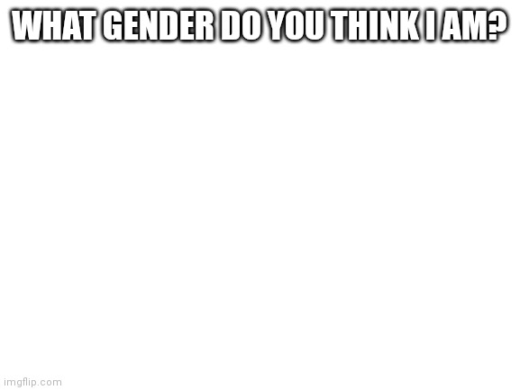 Blank White Template | WHAT GENDER DO YOU THINK I AM? | image tagged in blank white template | made w/ Imgflip meme maker