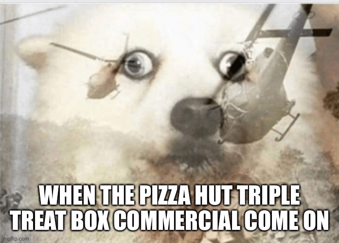 PTSD dog | WHEN THE PIZZA HUT TRIPLE TREAT BOX COMMERCIAL COME ON | image tagged in ptsd dog | made w/ Imgflip meme maker