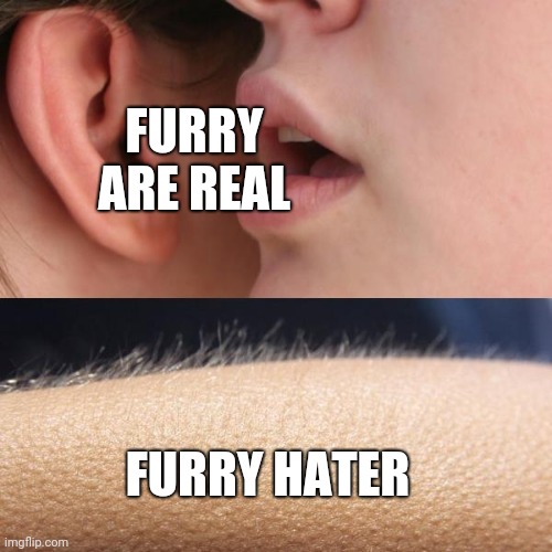 Whisper and Goosebumps | FURRY ARE REAL; FURRY HATER | image tagged in whisper and goosebumps | made w/ Imgflip meme maker