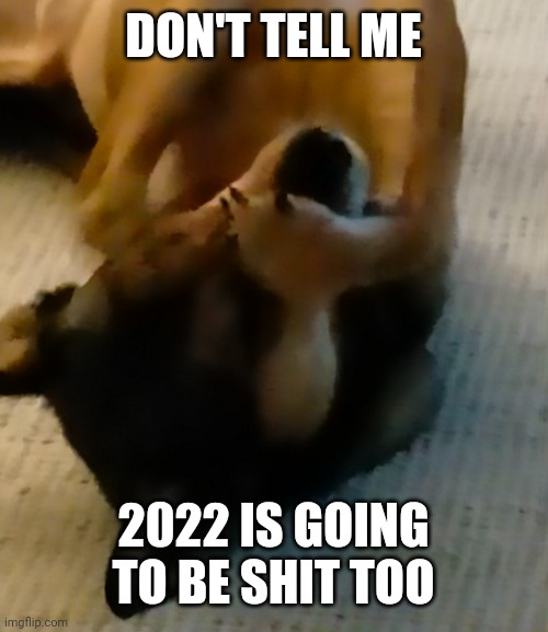 Can this be over now? | DON'T TELL ME; 2022 IS GOING TO BE SHIT TOO | image tagged in don't tell me,covid-19,over it,2022 | made w/ Imgflip meme maker