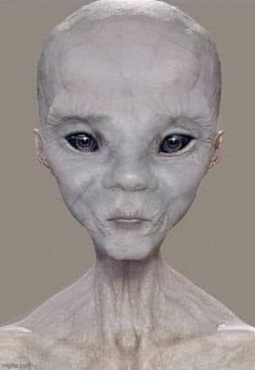 Me as a gray alien | image tagged in gray alien,kewlew | made w/ Imgflip meme maker