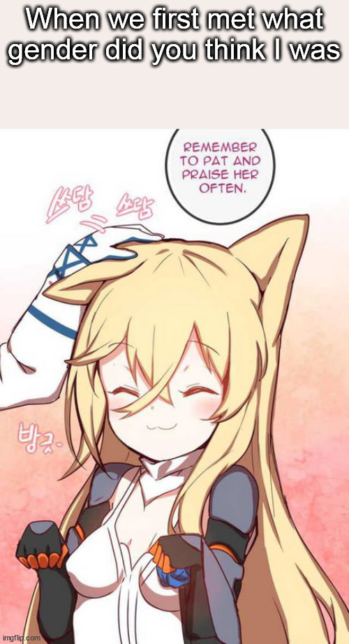 Remember to pat and praise her often | When we first met what gender did you think I was | image tagged in remember to pat and praise her often | made w/ Imgflip meme maker