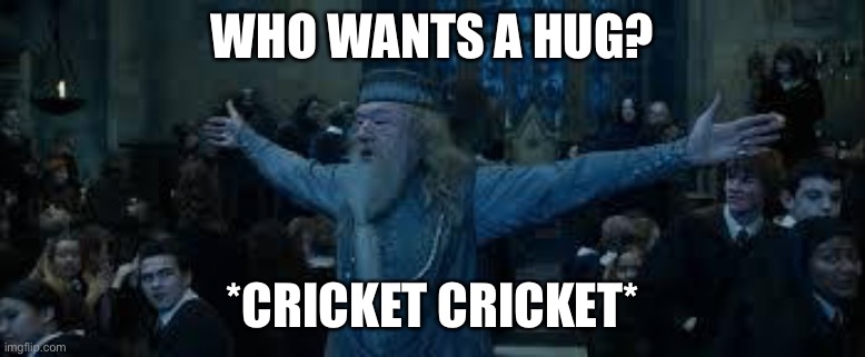 Harry Potter | WHO WANTS A HUG? *CRICKET CRICKET* | image tagged in harry potter | made w/ Imgflip meme maker