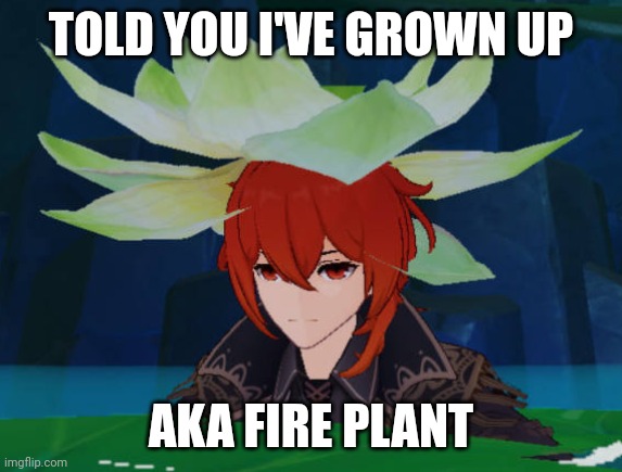 Just fire | TOLD YOU I'VE GROWN UP; AKA FIRE PLANT | image tagged in genshin impact,memes | made w/ Imgflip meme maker