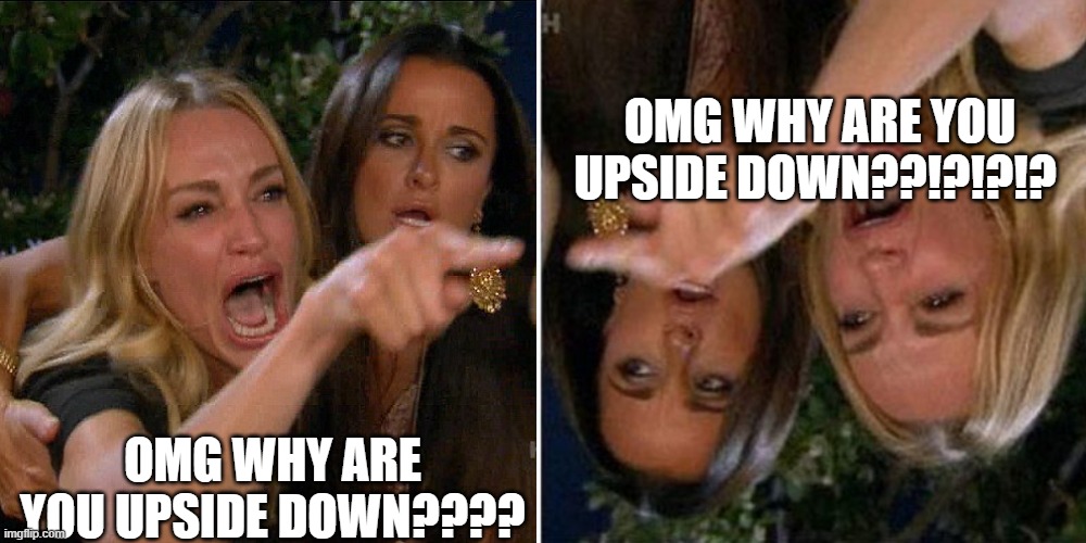 OMG WHY ARE YOU UPSIDE DOWN??!?!?!? OMG WHY ARE YOU UPSIDE DOWN???? | image tagged in upside-down,woman yelling at cat | made w/ Imgflip meme maker