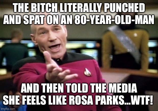 startrek | THE BITCH LITERALLY PUNCHED AND SPAT ON AN 80-YEAR-OLD-MAN AND THEN TOLD THE MEDIA SHE FEELS LIKE ROSA PARKS…WTF! | image tagged in startrek | made w/ Imgflip meme maker