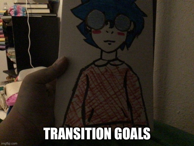 TRANSITION GOALS | made w/ Imgflip meme maker