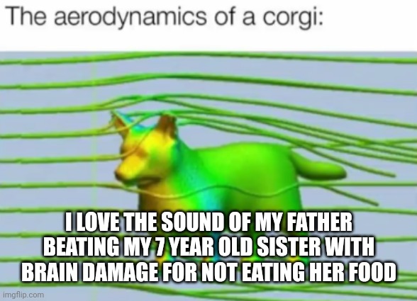 Its up to you if this is a /j or /srs post | I LOVE THE SOUND OF MY FATHER BEATING MY 7 YEAR OLD SISTER WITH BRAIN DAMAGE FOR NOT EATING HER FOOD | image tagged in fuking shitpost | made w/ Imgflip meme maker