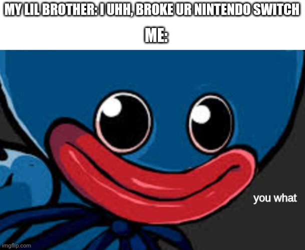 you what (Huggy Wuggy edition) |  MY LIL BROTHER: I UHH, BROKE UR NINTENDO SWITCH; ME: | image tagged in you what huggy wuggy edition | made w/ Imgflip meme maker