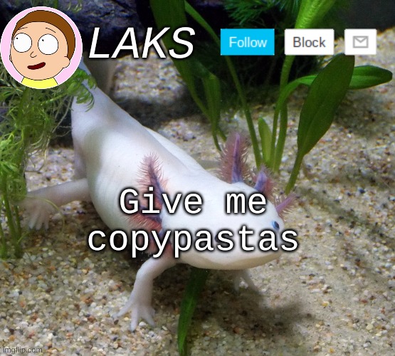 Please | Give me copypastas | image tagged in laks axolotl template | made w/ Imgflip meme maker