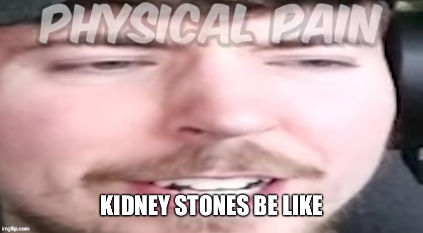 KIDNEY STONES BE LIKE | made w/ Imgflip meme maker
