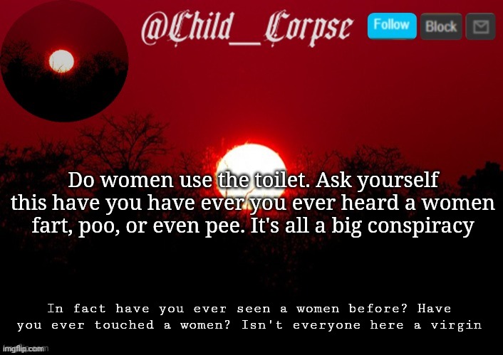 Time to post my horrible opinion on the internet | Do women use the toilet. Ask yourself this have you have ever you ever heard a women fart, poo, or even pee. It's all a big conspiracy; In fact have you ever seen a women before? Have you ever touched a women? Isn't everyone here a virgin | image tagged in child_corpse announcement template | made w/ Imgflip meme maker
