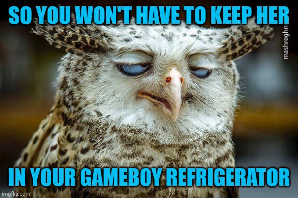 Unwise Owl | SO YOU WON'T HAVE TO KEEP HER IN YOUR GAMEBOY REFRIGERATOR | image tagged in unwise owl | made w/ Imgflip meme maker
