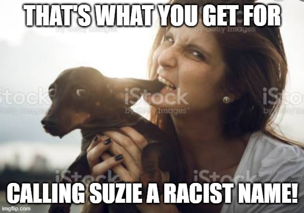 Completely unacceptable! | THAT'S WHAT YOU GET FOR; CALLING SUZIE A RACIST NAME! | image tagged in dogs,philosoraptor,crying,mel brooks | made w/ Imgflip meme maker
