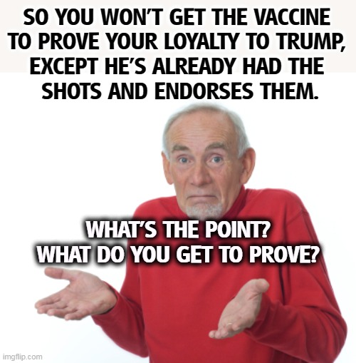 A pointless exercise. | SO YOU WON'T GET THE VACCINE 
TO PROVE YOUR LOYALTY TO TRUMP, 
EXCEPT HE'S ALREADY HAD THE 
SHOTS AND ENDORSES THEM. WHAT'S THE POINT? WHAT DO YOU GET TO PROVE? | image tagged in guess i'll die,anti vax,pointless,stupid | made w/ Imgflip meme maker