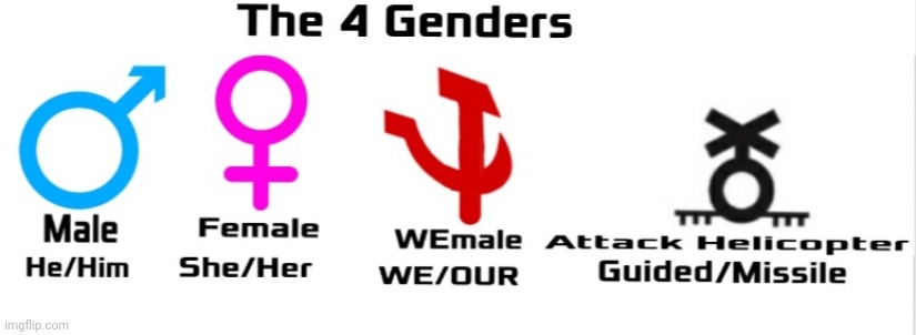 The 4 Genders | image tagged in genders,attack helicopter,communism | made w/ Imgflip meme maker