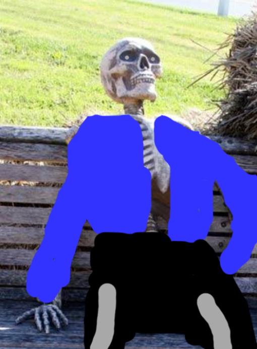 High Quality Sans in real life Blank Meme Template