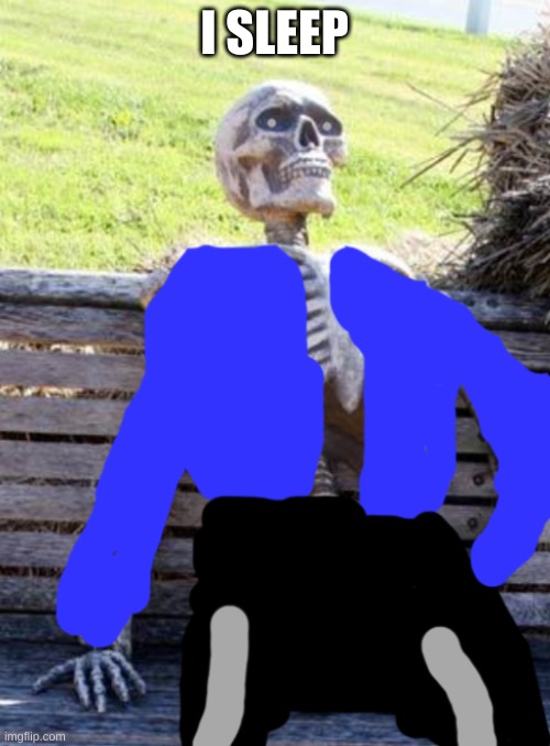 waiting sans | I SLEEP | image tagged in waiting sans | made w/ Imgflip meme maker