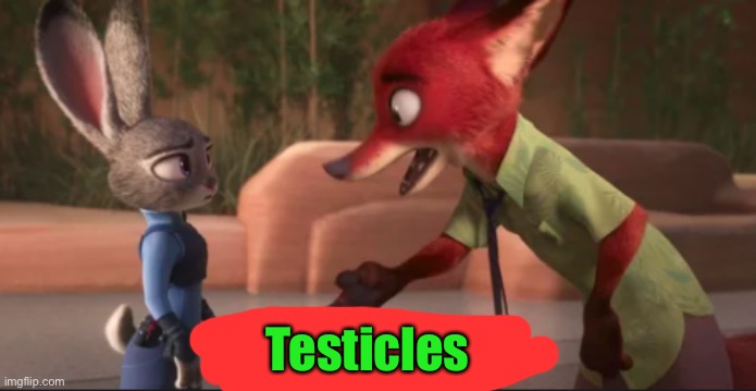 "oH fuck me Nick~" Judy screeched, "yea bby girl u like that", Nick growled, staring into Judy's oRbs. | Testicles | image tagged in testicles | made w/ Imgflip meme maker