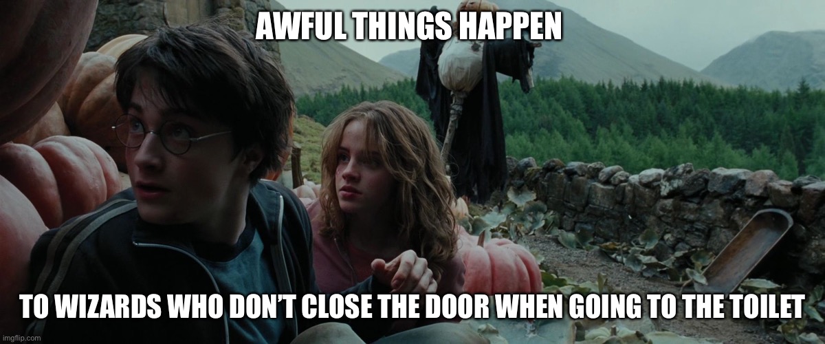 awful things happen to wizards who meddle with time | AWFUL THINGS HAPPEN; TO WIZARDS WHO DON’T CLOSE THE DOOR WHEN GOING TO THE TOILET | image tagged in awful things happen to wizards who meddle with time | made w/ Imgflip meme maker
