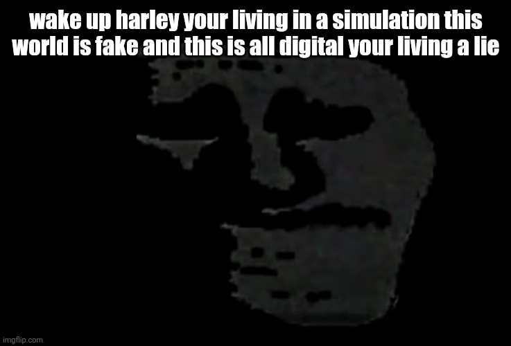 wake up harley your living in a simulation this world is fake and this is all digital your living a lie | wake up harley your living in a simulation this world is fake and this is all digital your living a lie | image tagged in sadness | made w/ Imgflip meme maker