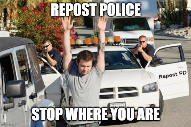 Repost Police | REPOST POLICE STOP WHERE YOU ARE | image tagged in repost police | made w/ Imgflip meme maker