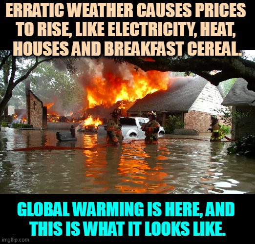 Do you think global warming doesn't cause crop damage? Think again. | ERRATIC WEATHER CAUSES PRICES 
TO RISE, LIKE ELECTRICITY, HEAT, 
HOUSES AND BREAKFAST CEREAL. GLOBAL WARMING IS HERE, AND 
THIS IS WHAT IT LOOKS LIKE. | image tagged in global warming,climate change,weather,prices,inflation | made w/ Imgflip meme maker