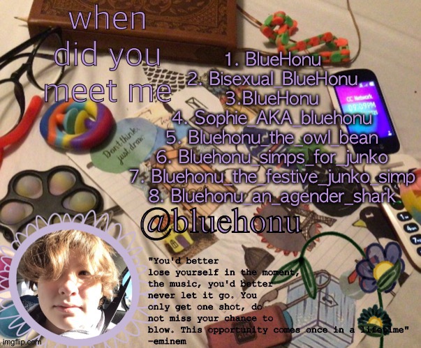 honu's aesthetic template | when did you meet me; 1. BlueHonu
2. Bisexual_BlueHonu
3.BIueHonu
4. Sophie_AKA_bluehonu
5. Bluehonu_the_owl_bean
6. Bluehonu_simps_for_junko
7. Bluehonu_the_festive_junko_simp
8. Bluehonu_an_agender_shark | image tagged in honu's aesthetic template | made w/ Imgflip meme maker