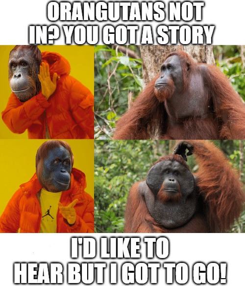 im not with that | ORANGUTANS NOT IN? YOU GOT A STORY; I'D LIKE TO HEAR BUT I GOT TO GO! | image tagged in drake | made w/ Imgflip meme maker