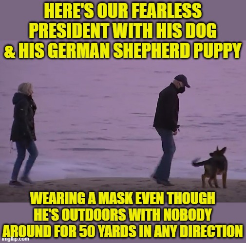 Dr. Mrs. Jill is the dog, see what I did there? | HERE'S OUR FEARLESS PRESIDENT WITH HIS DOG & HIS GERMAN SHEPHERD PUPPY; WEARING A MASK EVEN THOUGH HE'S OUTDOORS WITH NOBODY AROUND FOR 50 YARDS IN ANY DIRECTION | image tagged in joe biden,jill biden,masks | made w/ Imgflip meme maker