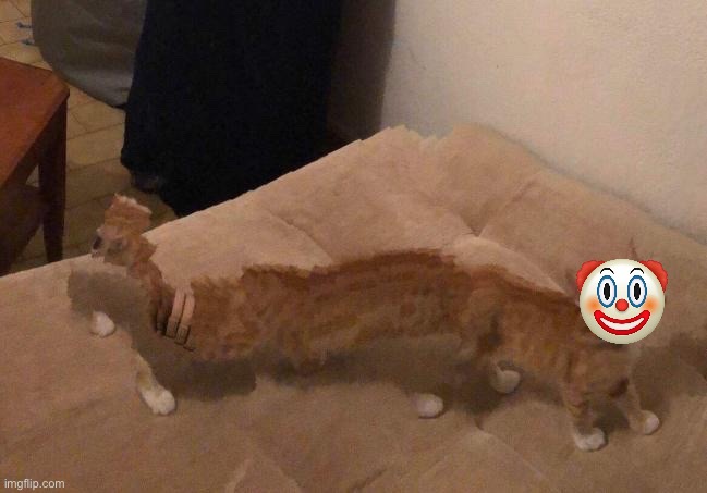 Kedrei face reveal | image tagged in kedrei face reveal | made w/ Imgflip meme maker