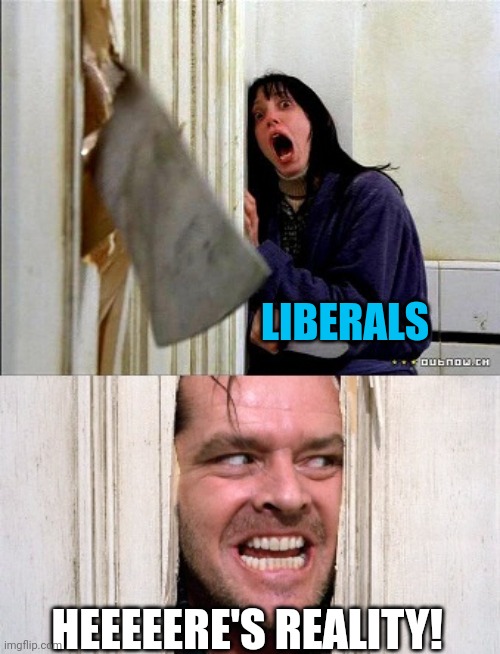 here's johnny | LIBERALS HEEEEERE'S REALITY! | image tagged in here's johnny | made w/ Imgflip meme maker