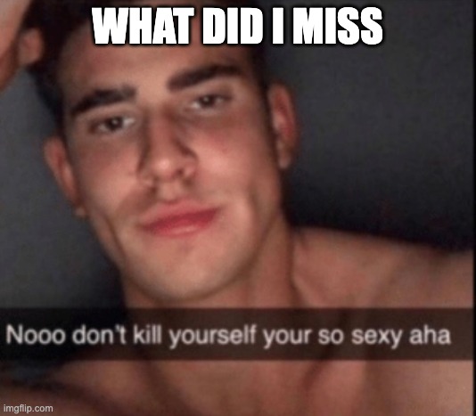 no don't kill yourself | WHAT DID I MISS | image tagged in no don't kill yourself | made w/ Imgflip meme maker