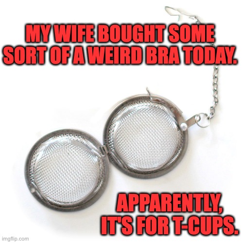 T-Cups | MY WIFE BOUGHT SOME SORT OF A WEIRD BRA TODAY. APPARENTLY, IT'S FOR T-CUPS. | image tagged in bad pun | made w/ Imgflip meme maker