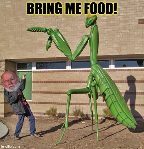 Giant praying mantis attack | BRING ME FOOD! | image tagged in giant praying mantis attack | made w/ Imgflip meme maker
