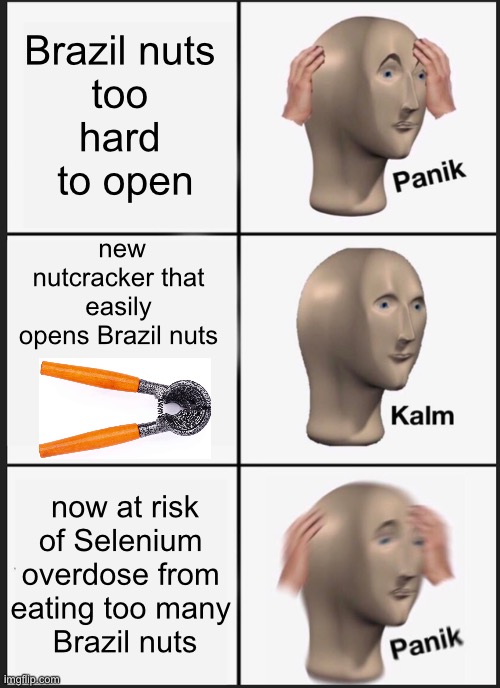 Panik Kalm Panik | Brazil nuts 
too 
hard 
to open; new nutcracker that easily opens Brazil nuts; now at risk of Selenium 
overdose from 
eating too many 
Brazil nuts | image tagged in memes,panik kalm panik | made w/ Imgflip meme maker