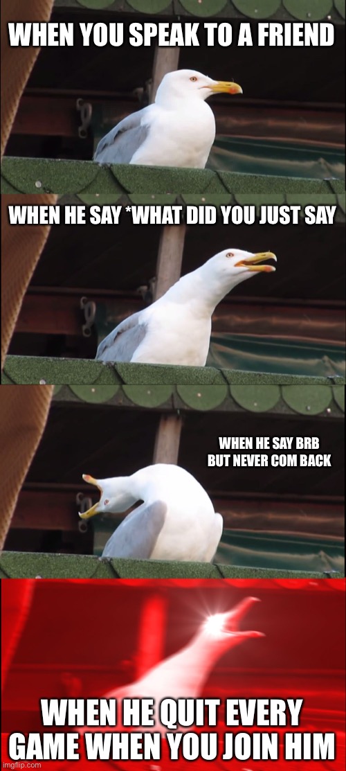 friend | WHEN YOU SPEAK TO A FRIEND; WHEN HE SAY *WHAT DID YOU JUST SAY; WHEN HE SAY BRB BUT NEVER COM BACK; WHEN HE QUIT EVERY GAME WHEN YOU JOIN HIM | image tagged in memes,inhaling seagull | made w/ Imgflip meme maker