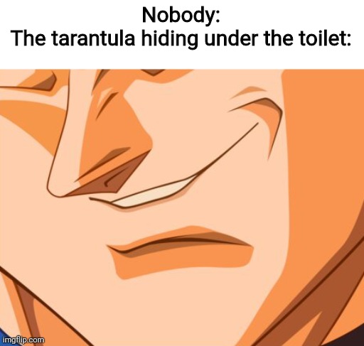 welcome to Brazil where everything is deadlier than ur grandparents | Nobody:
The tarantula hiding under the toilet: | image tagged in vegeta evil smile,hehe boi | made w/ Imgflip meme maker