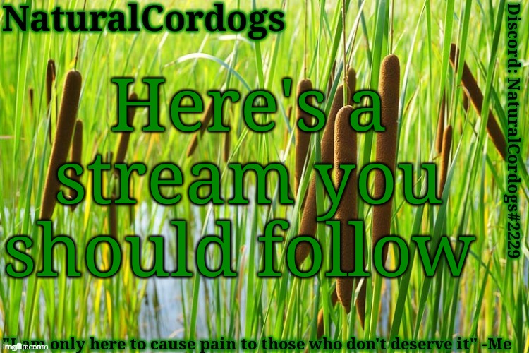 Here's a stream you should follow | image tagged in naturalcordogs template | made w/ Imgflip meme maker
