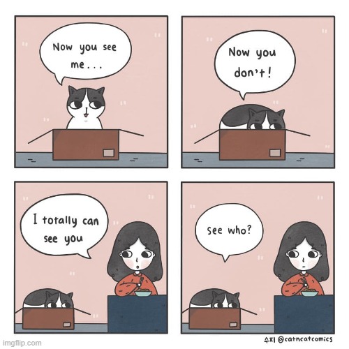 You! of course you silly cat! | image tagged in comics,cat | made w/ Imgflip meme maker