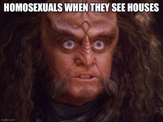 Aroused Klingon | HOMOSEXUALS WHEN THEY SEE HOUSES | image tagged in aroused klingon | made w/ Imgflip meme maker