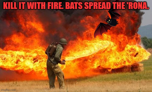 Nope flamethrower | KILL IT WITH FIRE. BATS SPREAD THE 'RONA. | image tagged in nope flamethrower | made w/ Imgflip meme maker