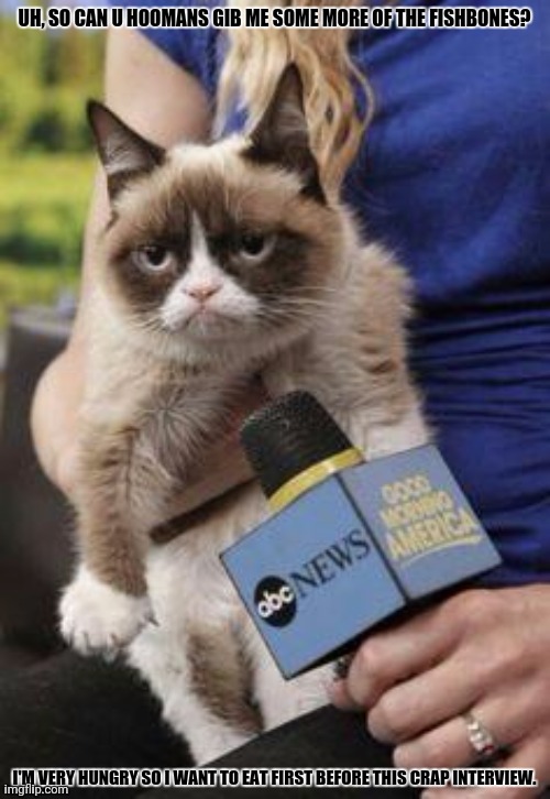 angry cat microphone | UH, SO CAN U HOOMANS GIB ME SOME MORE OF THE FISHBONES? I'M VERY HUNGRY SO I WANT TO EAT FIRST BEFORE THIS CRAP INTERVIEW. | image tagged in memes,hungry,kitty | made w/ Imgflip meme maker