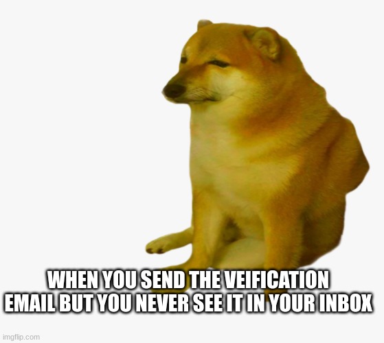 But seriously can some one please help me figure this out.I want to be able to comment on imgflip. |  WHEN YOU SEND THE VEIFICATION EMAIL BUT YOU NEVER SEE IT IN YOUR INBOX | image tagged in sad cheems | made w/ Imgflip meme maker