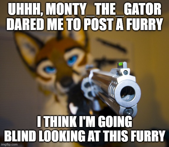 *dies from furry* | UHHH, MONTY_THE_GATOR DARED ME TO POST A FURRY; I THINK I'M GOING BLIND LOOKING AT THIS FURRY | image tagged in furry with gun,furryphobia,dares | made w/ Imgflip meme maker
